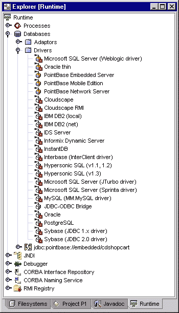 Forte Explorer Runtime tab with the Drivers tree expanded