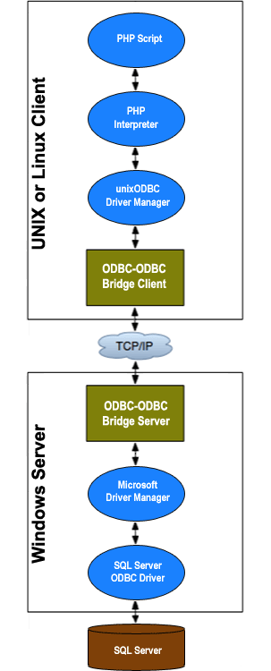 Odbc Connection String Access To Sql