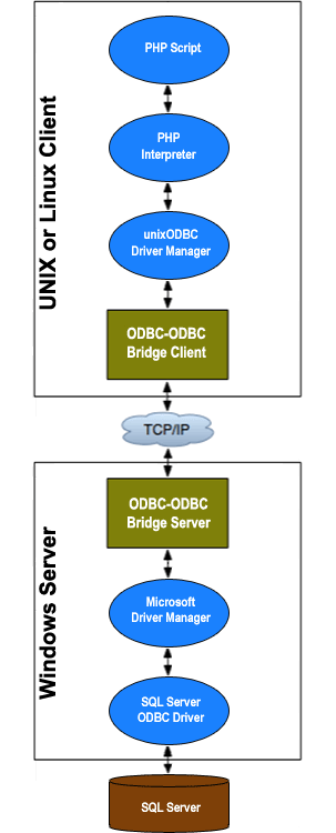 The components that you need to install on your client and server machines to provide ODBC access from PHP to Microsoft SQL Server data.