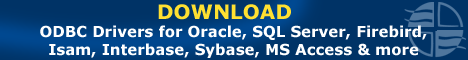 Download ODBC Drivers for Oracle, SQL Server, Firebird, ISAM, InterBase, Sybase, MS Access and more.