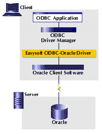 oracle odbc 9i driver download