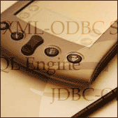 Access ODBC databases from PDAs and other wireless systems.
