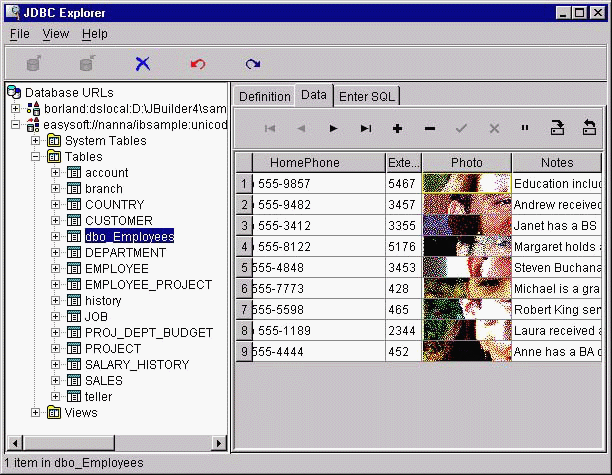 Browsing the dbo_Employees table in the JDBC Explorer