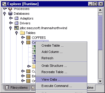 Right-click the Categories table, then click View Data to display the table data