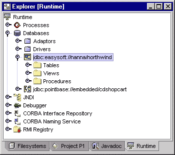 northwind database in the Databases list in the Forte Explorer Runtime tab