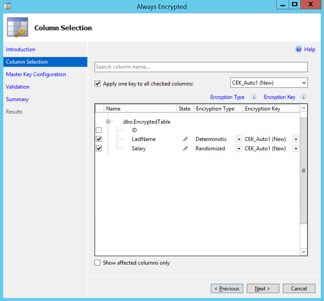 Always Encrypted Column Selection Wizard